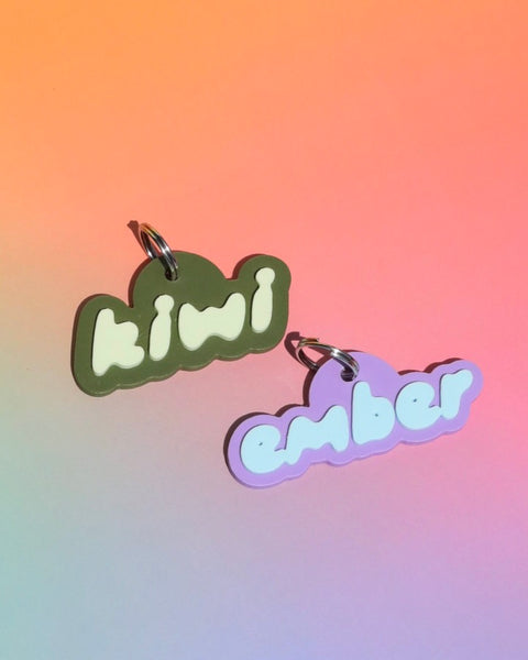 3D Kiwi Pet Tag