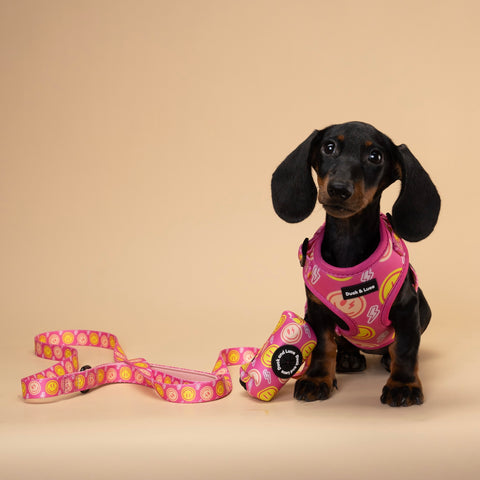 Dog Harness - Neon Pink Happy Face
