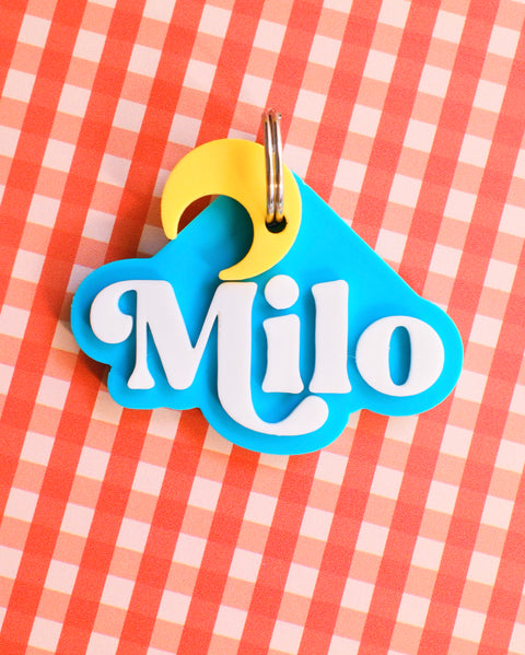 3D Retro Pet Tag