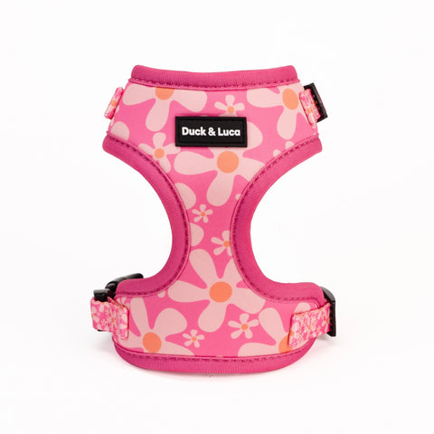 Dog Harness - Groovy Pink Flower