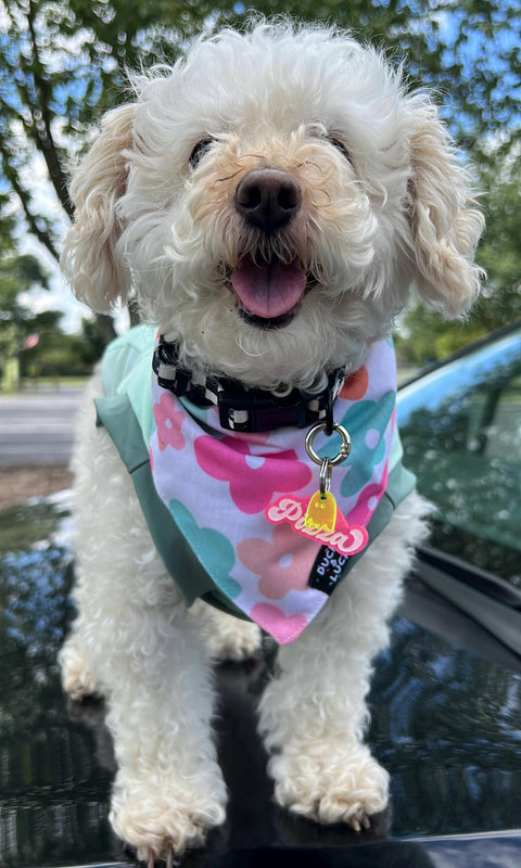 Dog Bandana, Double Sided Groovy Retro Checkered Daisy Smile Face Dog or Cat Bandanas, Over The Collar Soft Tie On Dog Bandana