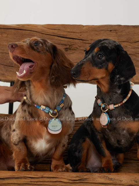 Personalized Leather Pet Name ID Tag, Customized Pet Necklace, Unique Cute Pet Accessory for Dogs and Cats | Duck & Luca X One Half Studio
