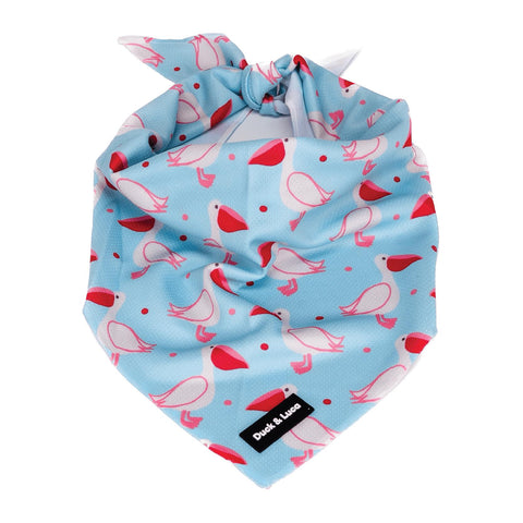 Dog Bandana - Blue Pelican, New puppy gift, Dog mom Gift, Over The Collar Soft Tie On Dog Bandana