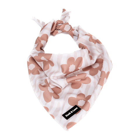 Dog Bandana - Brown Daisy, New puppy gift, Dog mom Gift, Over The Collar Soft Tie On Dog Bandana