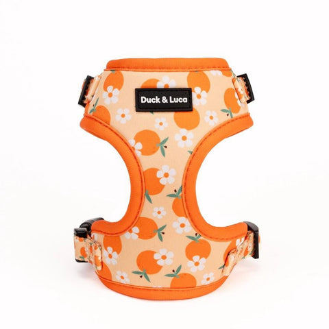 Adjustable Dog Harness - Orange and Daisy