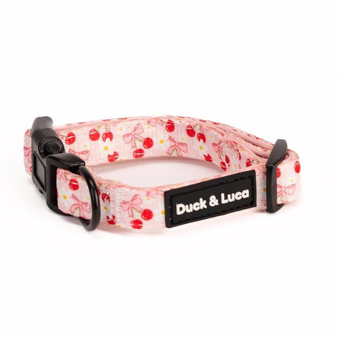 Adjustable Dog Collar - Cherry Bow