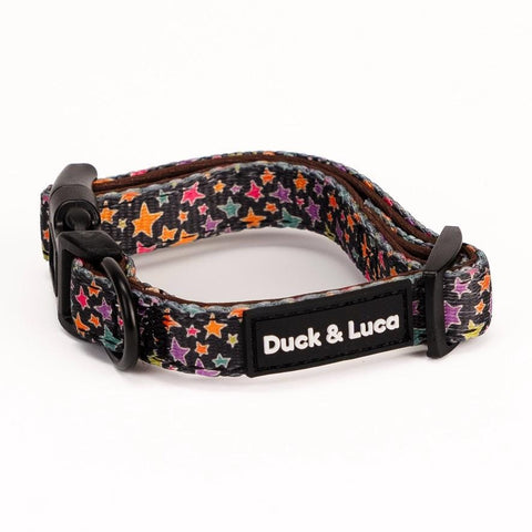 Adjustable Dog Collar - Funky Stars