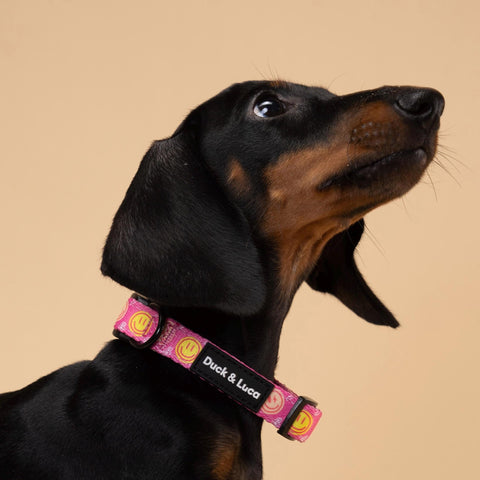 Adjustable Dog Collar - Neon Pink Happy Face