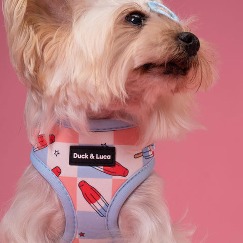 Adjustable Dog Harness - Fourth of July Popsicle