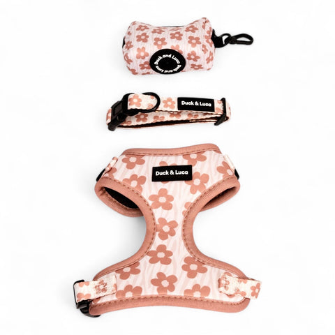 Brown Daisy, 4-Piece Bundle set - Adjustable Dog Harness, Collar, Dog Poop Bag Holder and Leash