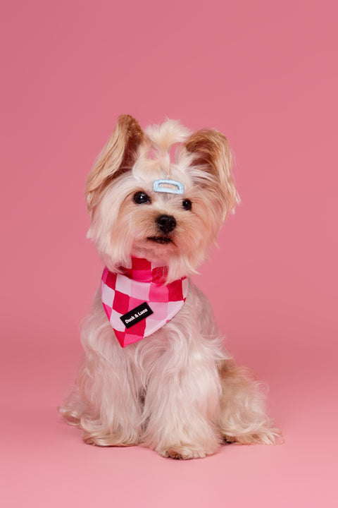 Dog Bandana - Valentine's Checkered, New puppy gift, Dog mom Gift, Over The Collar Soft Tie On Dog Bandana