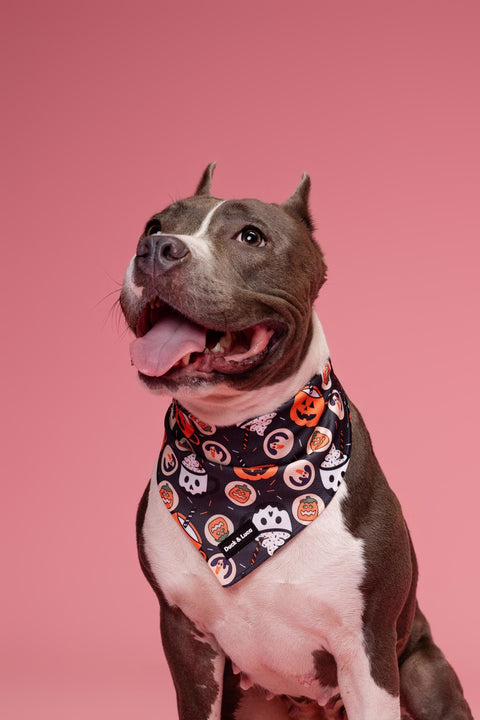 Dog Bandana - Retro Halloween, New puppy gift, Dog mom Gift, Over The Collar Soft Tie On Dog Bandana