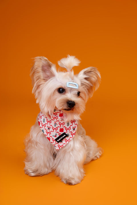 Dog Bandana - Christmas Scroll Bows, New puppy gift, Dog mom Gift, Over The Collar Soft Tie On Dog Bandana