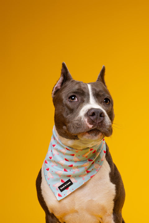 Dog Bandana - Blue Pelican, New puppy gift, Dog mom Gift, Over The Collar Soft Tie On Dog Bandana