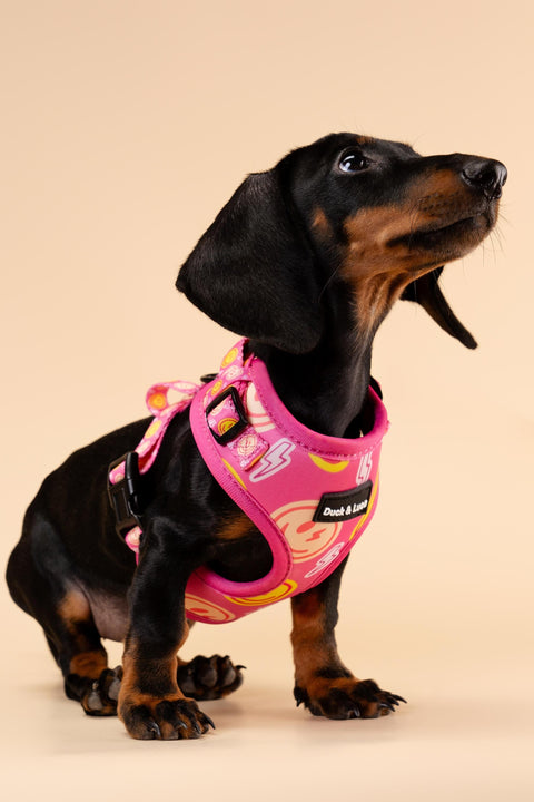 Adjustable Dog Harness - Neon Pink Happy Face