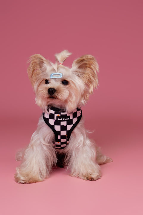Checkerboard and Stars, 4-Piece Bundle set - Adjustable Dog Harness, Collar, Dog Poop Bag Holder and Leash