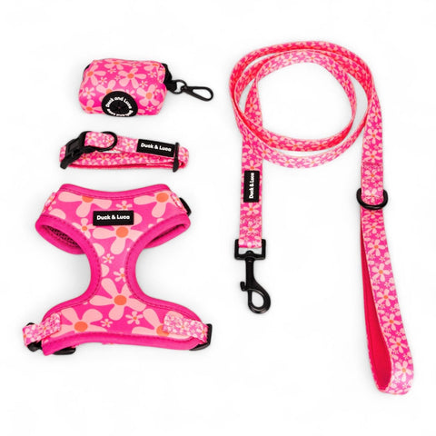 Groovy Pink Flower, 4-Piece Bundle set - Adjustable Dog Harness, Collar, Dog Poop Bag Holder and Leash