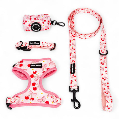 Cherry Bow, 4-Piece Bundle set - Adjustable Dog Harness, Collar, Dog Poop Bag Holder and Leash