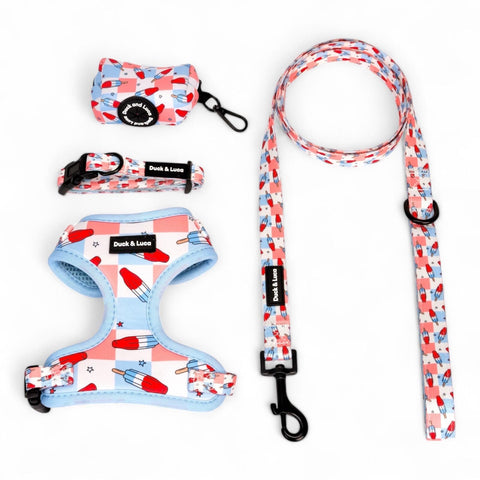 Fourth of July Popsicle, 4-Piece Bundle set - Adjustable Dog Harness, Collar, Dog Poop Bag Holder and Leash