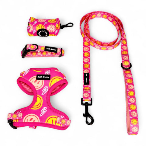 Neon Pink Happy Face, 4-Piece Bundle set - Adjustable Dog Harness, Collar, Dog Poop Bag Holder and Leash