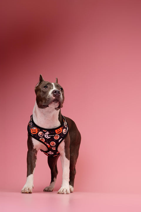 Adjustable Dog Harness - Retro Halloween