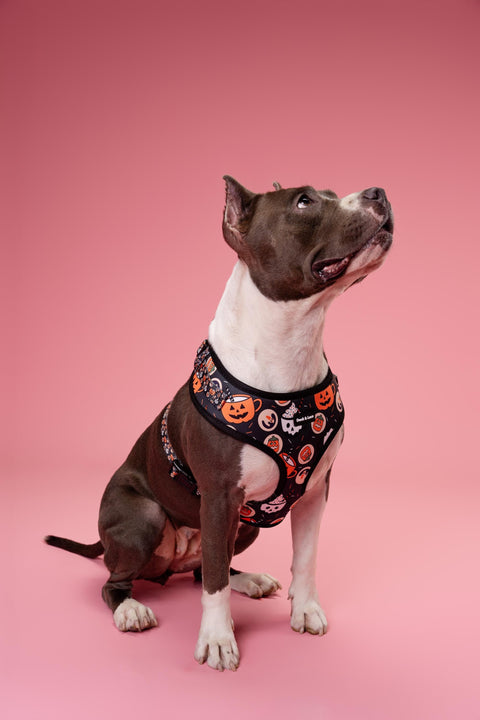 Adjustable Dog Harness - Retro Halloween
