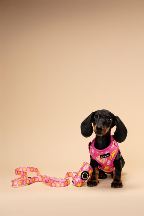 Adjustable Dog Harness - Neon Pink Happy Face