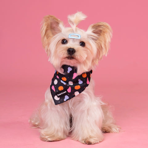 Dog Bandana - Bright Pumpkin Halloween