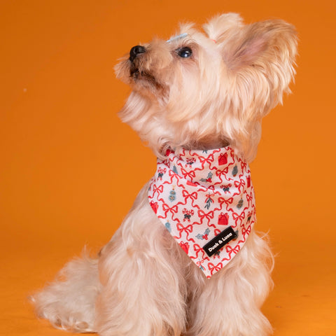 Dog Bandana - Christmas Scroll Bows