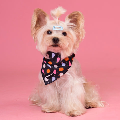 Dog Bandana - Bright Pumpkin Halloween