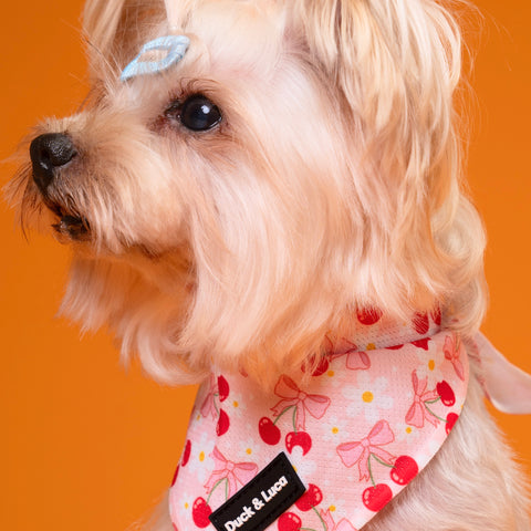 Dog Bandana - Cherry Bow