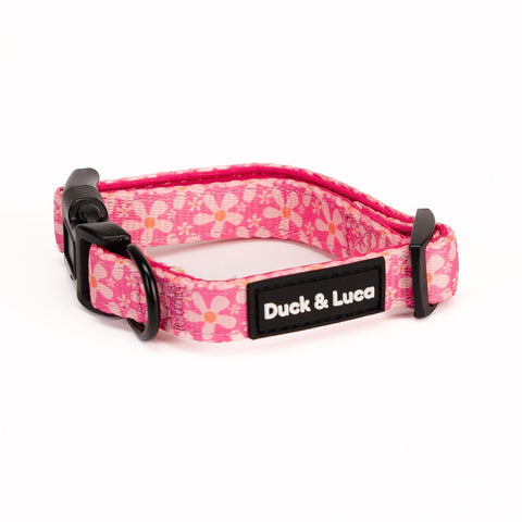 Dog Collar - Groovy Pink Flower