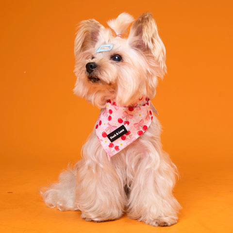 Dog Bandana - Cherry Bow