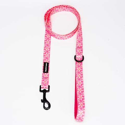 Leash - Groovy Pink Flower