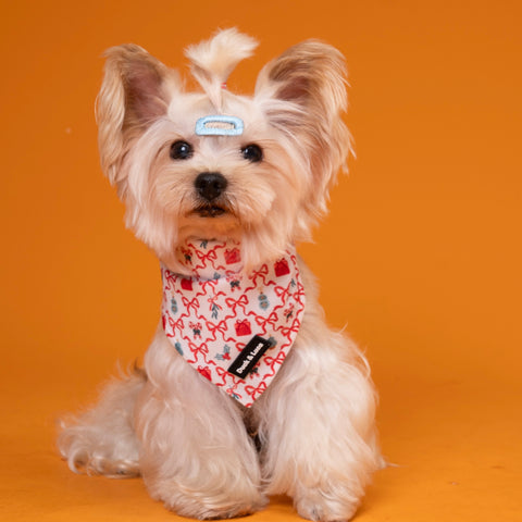 Dog Bandana - Christmas Scroll Bows