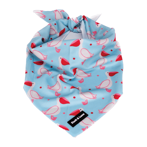 Dog Bandana - Blue Pelican