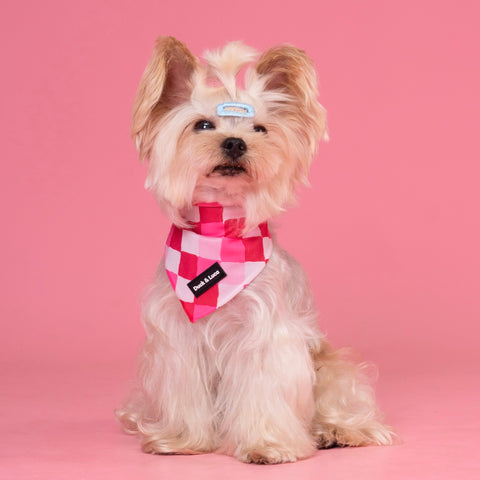 Dog Bandana - Valentine's Checkered