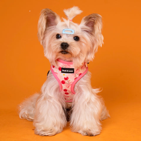 Dog Harness - Cherry Bow