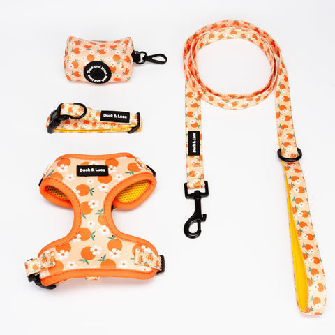 4 - Piece Bundle - Orange and Daisy