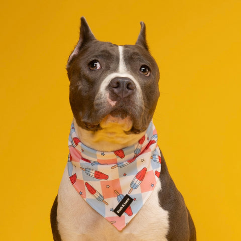 Dog Bandana - Fourth of July Popsicle