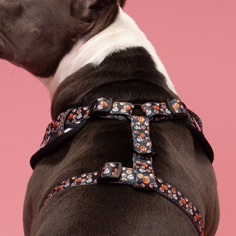 Dog Harness - Retro Halloween