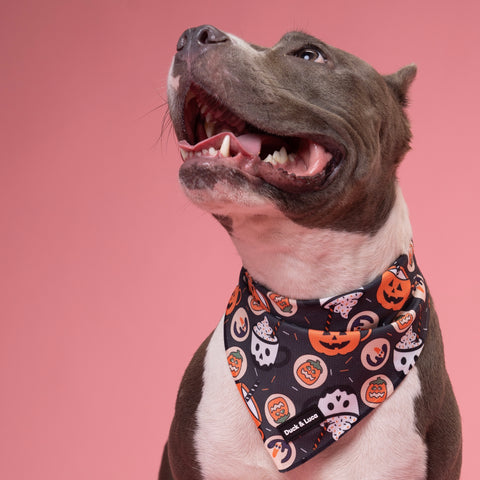 Dog Bandana - Retro Halloween