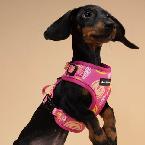 Dog Harness - Neon Pink Happy Face