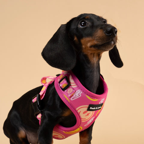 Dog Harness - Neon Pink Happy Face