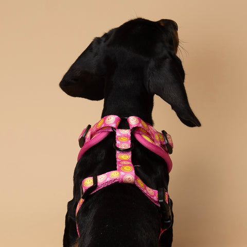 Dog Harness - Neon Pink Happy Face