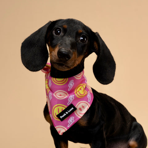 Dog Bandana - Neon Pink Happy Face