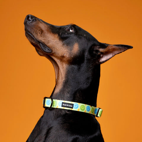 Dog Collar - Neon Lime Happy Face