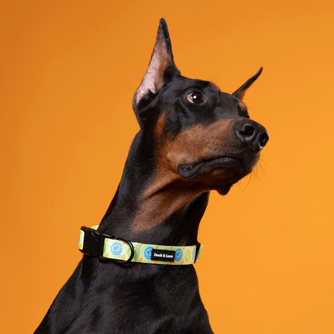 Dog Collar - Neon Lime Happy Face