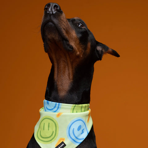 Dog Bandana - Neon Lime Happy Face