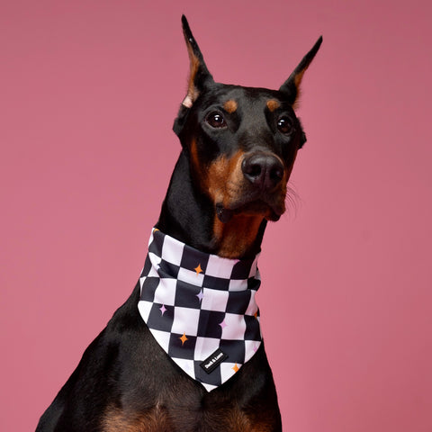 Dog Bandana - Checkerboard Pastel Stars